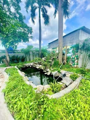 Cho Thuê Nhà Vườn Lài Q12. Có Sân Vườn 1pn, Giá: 4tr