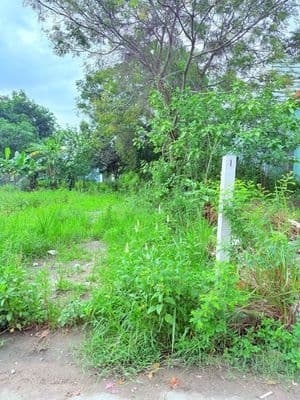 Bán đất Bồ Mưng 1 đường bê tông 5m sát quốc lộ Điện Thắng Bắc giá rẻ