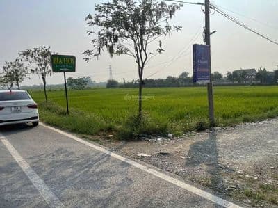 Bán đất Ninh Bình, ngay cao tốc, 2,8 tỷ, 110m2