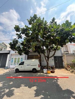 Chính Chủ Bán Đất 12x 25m tại Tân Phong- Giá 8.2 tỷ