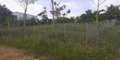 Cẩn bán đất phía sau Trường Học Hồng Bàng( Đinh Công Tráng)