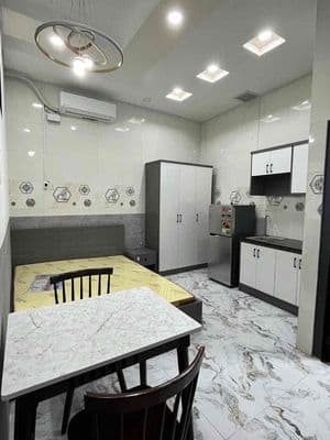 Căn Hộ Mới full nội thất - Miễn phí xe sát Y Dược, Chợ Rẫy, UEH