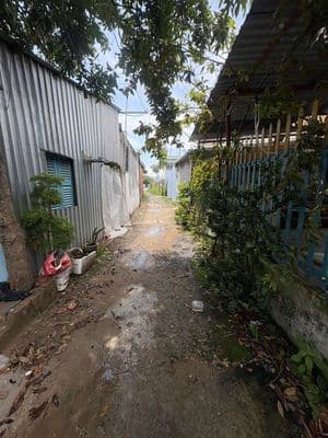 Cần bán gấp nhà Bình Chánh
