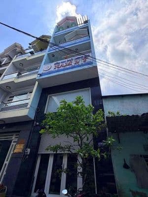 Nhà cho thuê hẻm Tân Hoa Đông. Bình Trị Đông Bình Tân