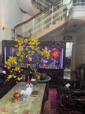 Bán nhà mặt tiền phạm văn chiêu gò vấp giá tốt
