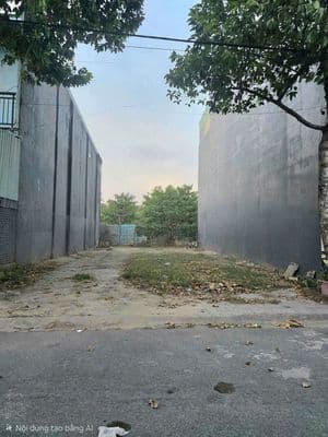 Bán đất tái định cư Tân Hạnh Biên Hòa Đồng Nai - 84m2 (4.2x20m)