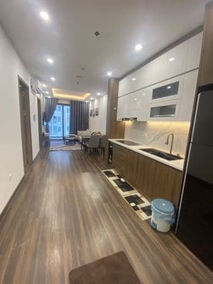 Bán căn hộ chung cư cao cấp Hoàng Huy comerce, toà Camelia