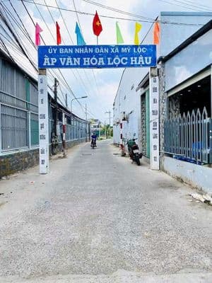Chủ gửi bán gấp nhà 1 trệt 1 lầu mặt tiền đường cộng đồng lộc hậu