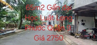 Đất 65m2 Hẻm 383 Đường Long Phước. Quận 9