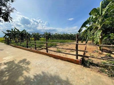 Giá cực mềm – chỉ 5XX triệu/lô Điện Bàn tây