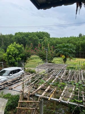 cần bán căn nhà vườn tâm huyết tại thôn hoà phước, xã hoà phú