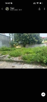 cần bán gấp
