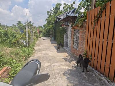Bán Đất Khu Dân Cư Hiện Hữu, Quy Hoạch Hỗn Hợp