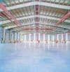 Cho thuê 5850m2- 35000m2 nhà xưởng xây mới 100% tại tỉnh Nam Định.