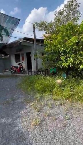 Cho thuê đất nông nghiệp 1900m2 Thạnh Xuân Quận 12