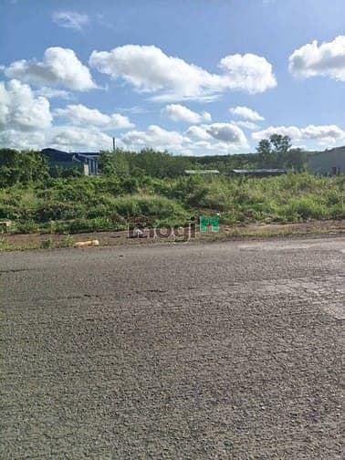 Anh/chị đang tìm đất tại xã Long Tân, huyện Phú Riềng, gần Quốc lộ 13