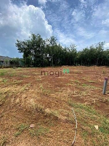 Bán đất BÙ GIA MẬP – GIÁ TỐT 110m2 Full thổ cư SHR chỉ 1,530Tr