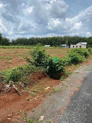 Đất huyện Phú Riềng Bình Phước 115m2 Lô đất đẹp có sổ hồng