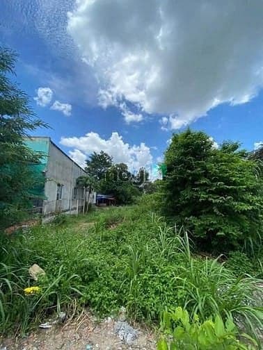 Chốt ngay lô đất đẹp có sổ tại Phú Riềng Bình Phước 130m2