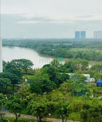 Cần cho thuê nhanh căn hộ Green View 115m2 nhà đẹp full nội thất