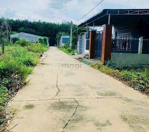 Bán lô đất Phú Trung, Phú Riềng, giá hợp lý cho nhà đầu tư 148,2m²