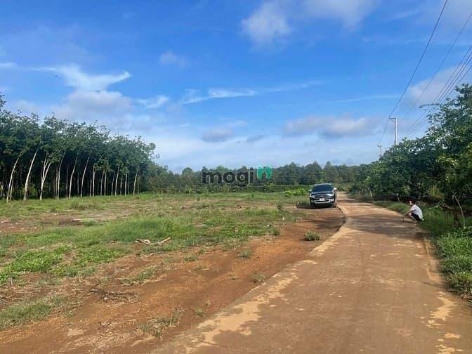 Đất giá mềm – SỔ RIÊNG – LONG HÀ, TP. ĐỒNG NAI Chỉ hơn 3 tỷ 200 tr