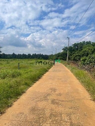 một trận đấu đỉnh cao. khách hạ giá chốt ngày chỉ hơn 3 tỷ 340 tr. côn