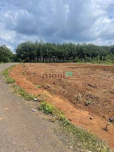 Bây giờ còn tìm được đất **sổ riêng, có thổ cư, đường nhựa** mà chỉ h