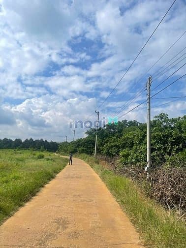 quá rẻ cho 250m2. có sẵn 100m2 thổ cư. sổ sẵn chỉ 1 tỷ 925 là công chứ