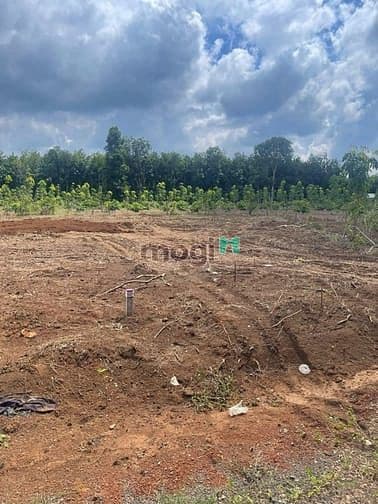 Bán 10 lô đất sổ riêng – giá chỉ 4 tỷ 135 triệu xã long hà, tp.