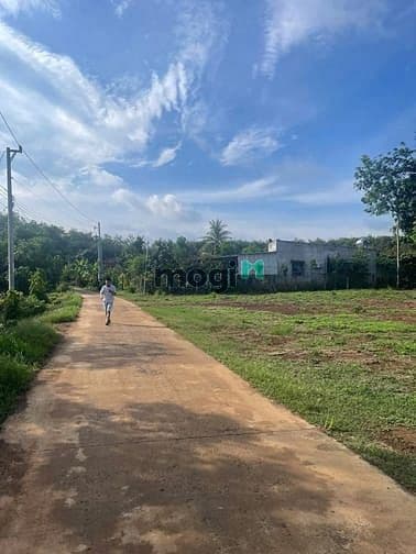 còn 1 cặp 10x55. ( tổng hơn 1000m2) có 200TC. giá chỉ 4 tỷ 550 cho 1 l