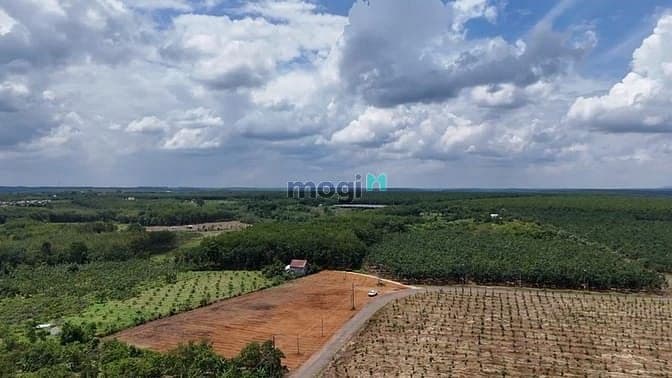 CHỈ 3 tỷ 490 TR SỞ HỮU LÔ ĐẤT NỀN THỔ CƯ Vị Trí Đẹp - Tiện Ích Hội Tụ