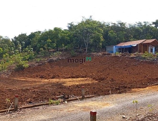 Bán 10 Lô đất ở Tại Xã Phú Trung, Huyện Phú Riềng, Tỉnh Bình Phước