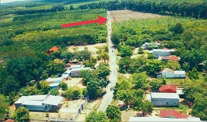 665m2 (100m2 Thổ Cư ) Giá 3 tỷ 360tr Nằm Trong Khu Dân Cư Hiễn Hữu