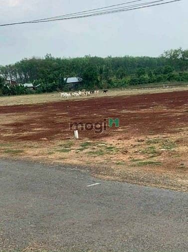 Đất Ngộp - Diện Tích Lớn - Ngân Hàng Hổ Trợ 70% 1000m2 (20x55)100m2 Th