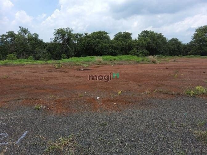 Còn Duy Nhất 5 Lô đất Thổ Cư 100m2 Vị Trí đẹp Diện Tích 5x50m , thổ cư