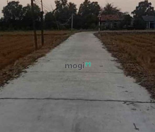 Bán đất tại Xã Phú Trung, Phú Riềng, Bình Phước Có ít tiền liệu có đầu