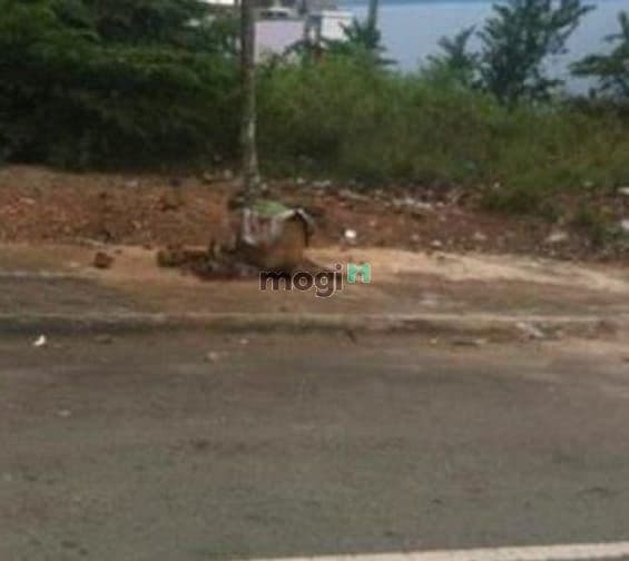 Bán đất tại Xã Long Tân, Phú Riềng, Bình Phước Bán lô đất đẹp ngay lon
