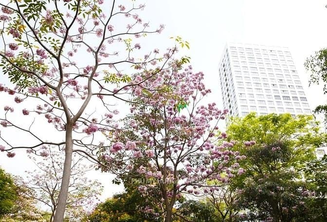 Bán CHCC Happy Valley, DT 135m2, 3PN, 2WC, lầu cao, giá tốt 12 tỷ TL