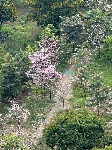 Bán gấp CHCC Happy Valley, DT 100m2, 3PN, 2WC, NTDD, giá tốt 9 tỷ
