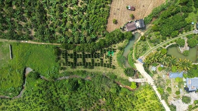 Biệt Thự Nghỉ Dưỡng Bảo Lộc - Siêu Phẩm Đèo Mây Lộc Thành 12 Tỷ