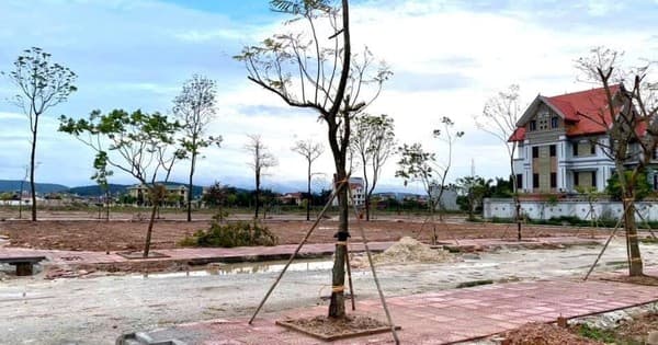 Thị trường đất đấu giá phân hóa: Một số nơi giảm sâu, một số nơi giữ sóng