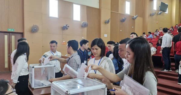Quốc Oai đấu giá 14 thửa đất với tổng diện tích hơn 1.274m²