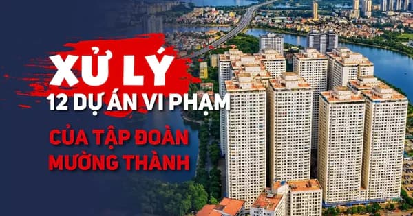 Hà Nội thông qua cơ chế xử lý vi phạm tại 12 dự án Mường Thanh