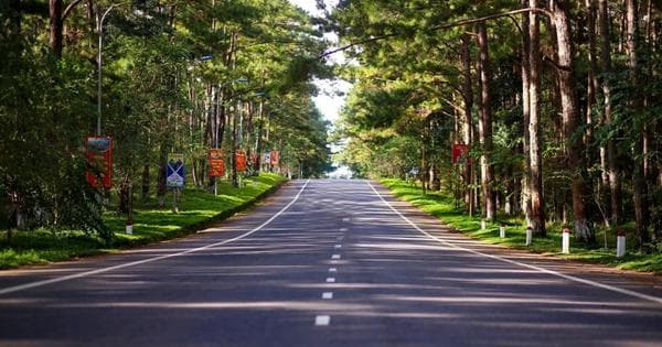 Quảng Ngãi đẩy nhanh bồi thường, giải phóng mặt bằng dự án khu đô thị Sun Group tại Măng Đen