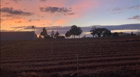 Bán đất khu đô thị Liên Nghĩa - khu kinh tế trọng điểm - dân cư hiện hữu - Ảnh 2