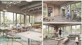 Lì xì ngay 2 chỉ vàng khi mua căn hộ Mizuki Park, thanh toán 10% ký ngay HDMB ưu đãi lên đến 14,5% - Ảnh 3