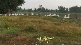 Đất Mặt Tiền Sông Vàm Cỏ, 20m mặt sông, 600m2 giá 1ty4 hàng hiếm - Ảnh 2