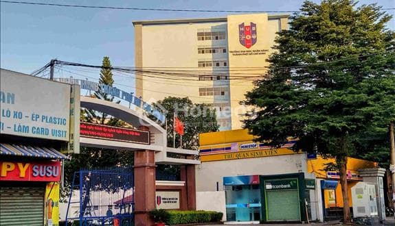 Đất đường số 7 Linh Trung Thủ Đức, 66,5 m2, 6,3 tỷ.