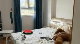 Chung cư 590 CMT8, Q3: 110m2, 3p ngủ, căn góc, 15triệu/th - Ảnh 3